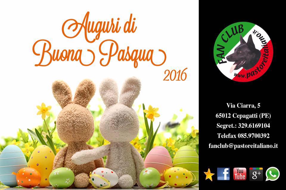 Pasqua 2016