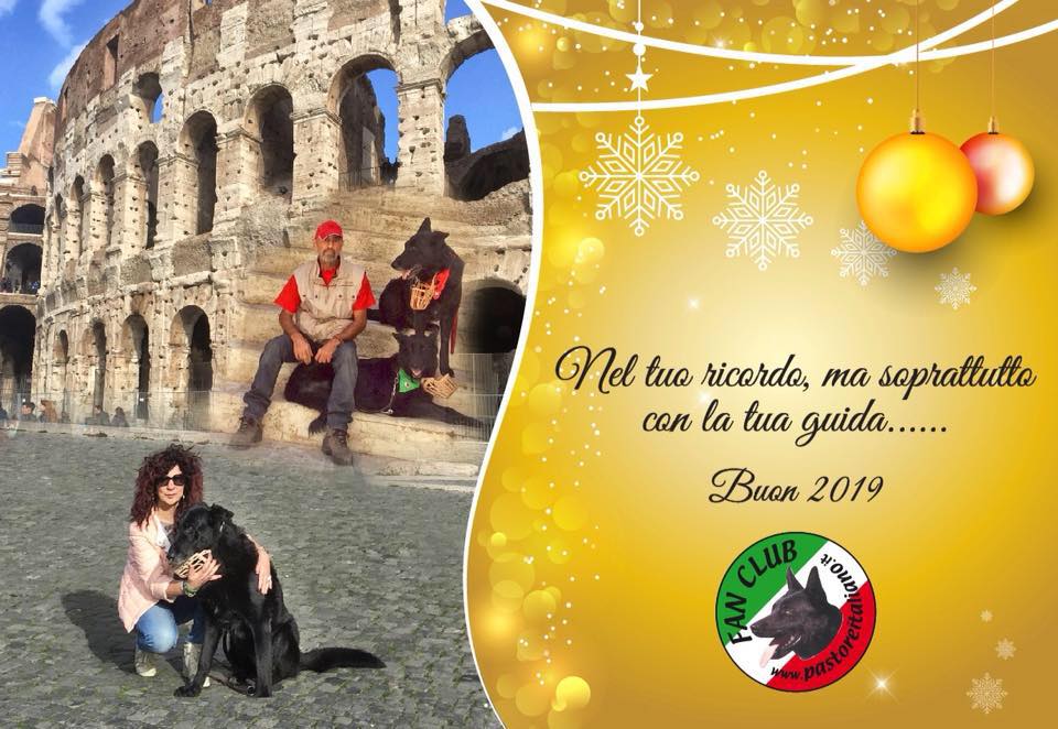 AUGURI 2019