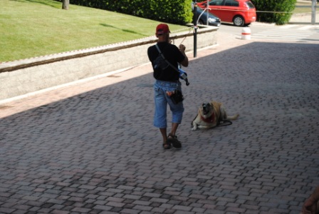 11° RADUNO DEL CANE DA PASTORE ITALIANO E NON SOLO