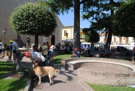 11° RADUNO DEL CANE DA PASTORE ITALIANO E NON SOLO