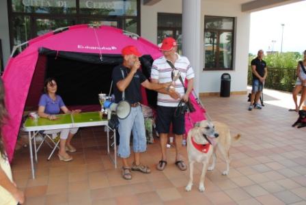 11° RADUNO DEL CANE DA PASTORE ITALIANO E NON SOLO