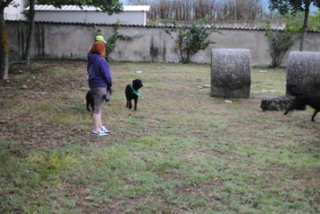 11° RADUNO DEL CANE DA PASTORE ITALIANO E NON SOLO