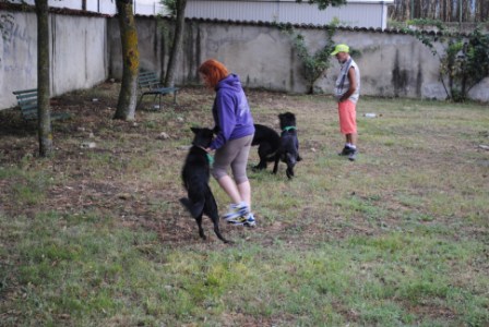 11° RADUNO DEL CANE DA PASTORE ITALIANO E NON SOLO