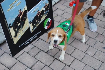 11° RADUNO DEL CANE DA PASTORE ITALIANO E NON SOLO