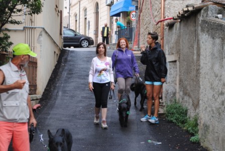 11° RADUNO DEL CANE DA PASTORE ITALIANO E NON SOLO